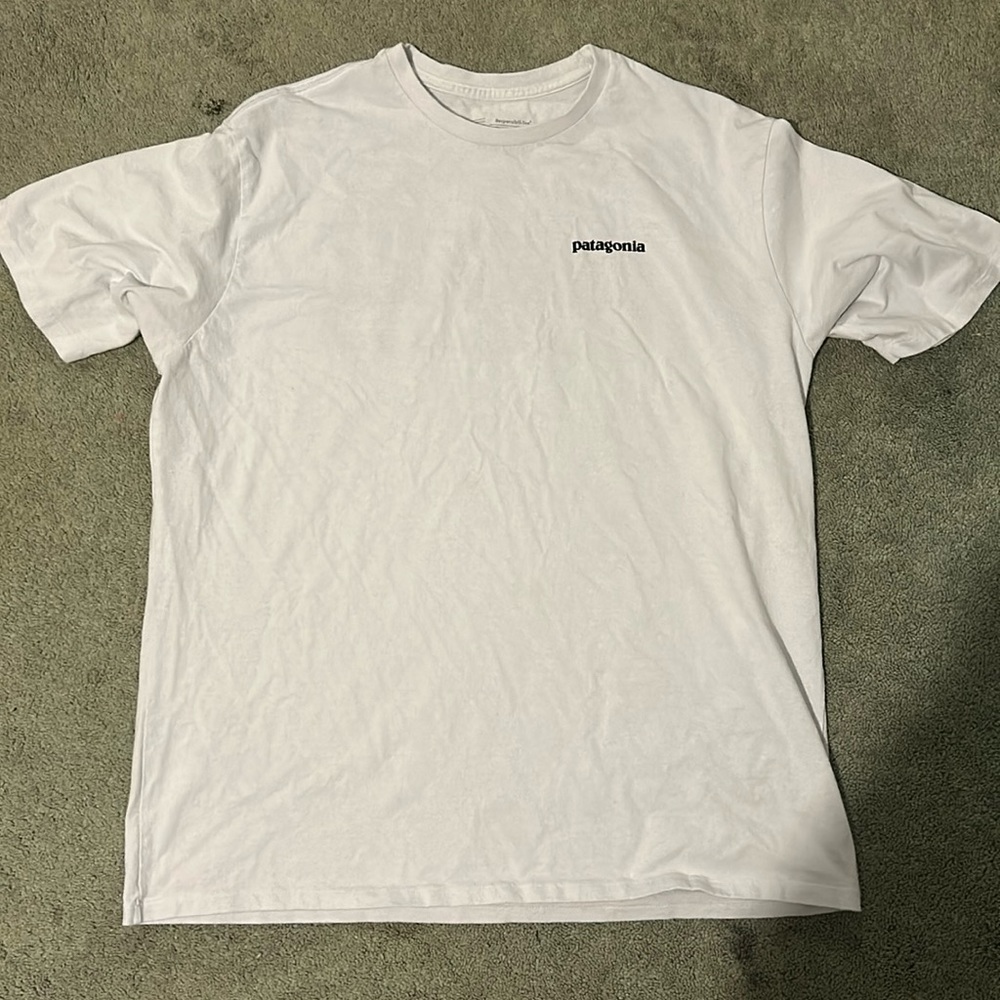 Patagonia Tshirt